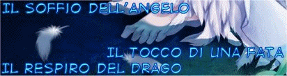 Banner Regno Della Magia Tk 13